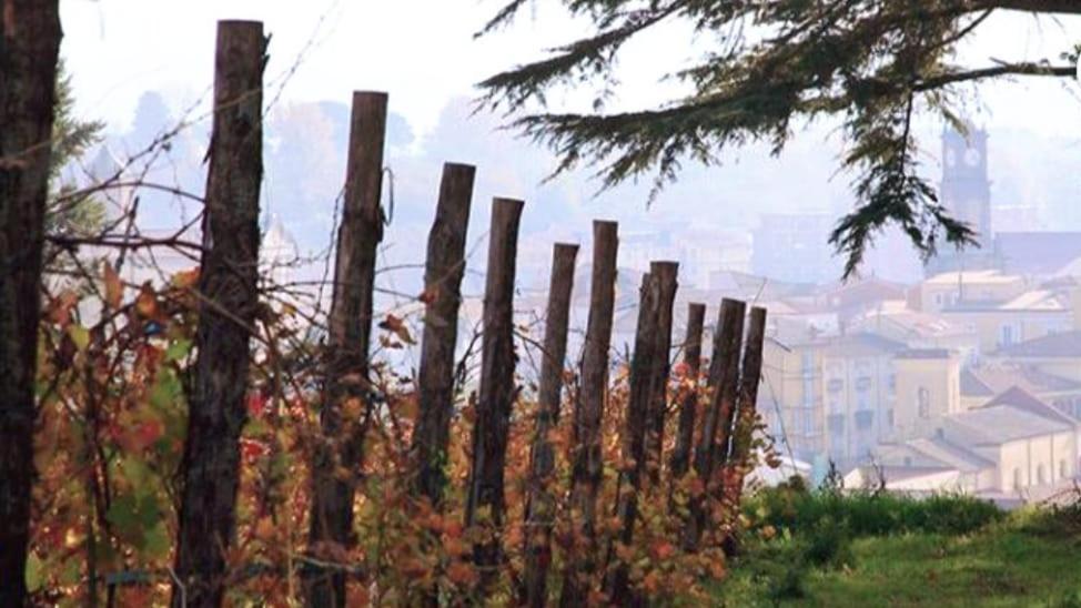شقة Casa Sofia - Irpinia أفيلينو المظهر الخارجي الصورة